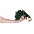 Holland Greenhouse Tuyau d'arrosage extensible de 15 m (50 pi)